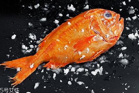 长寿鱼多少钱一斤 长寿鱼为什么叫长寿鱼