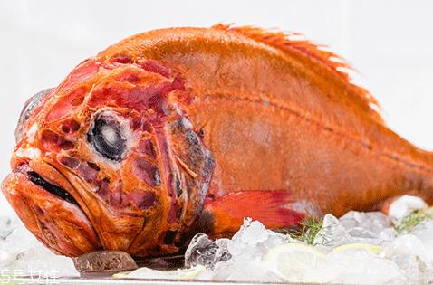 长寿鱼多少钱一斤 长寿鱼为什么叫长寿鱼