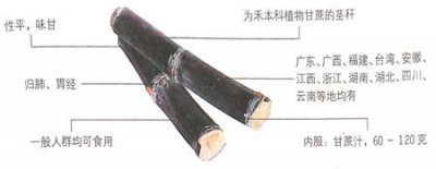 ​甘蔗的功效作用之解酒通便,美白牙齿