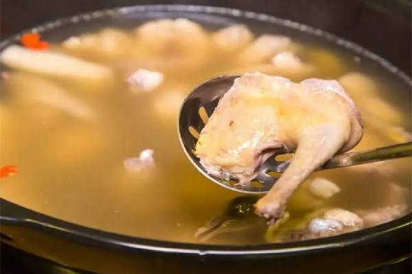 鸽子汤用开水炖还是冷水炖 鸽子汤水放多了有营养吗