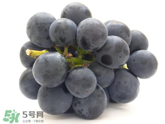 巨峰葡萄是哪里的？巨峰葡萄产地