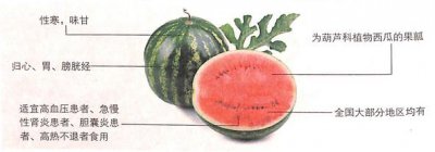 ​西瓜治疗肾炎水肿肝病黄疸功效好