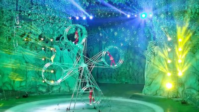 ​灵玲马戏团初体验，再也不想去了