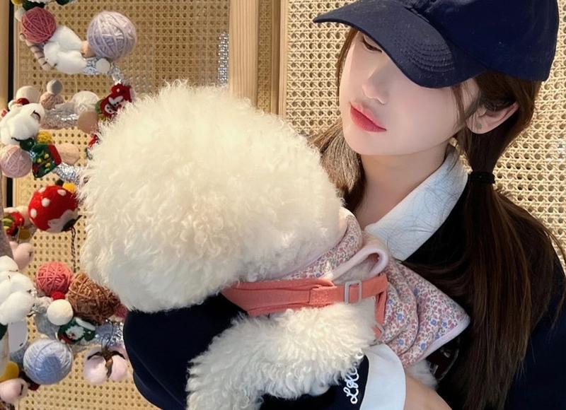 哺乳期家庭暴力离婚可不可以要求损害赔偿 哺乳期家庭暴力离婚可不可以要求损害赔偿