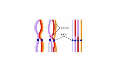​怎么挽回即将离婚的婚姻，如何挽回即将离婚的婚姻？