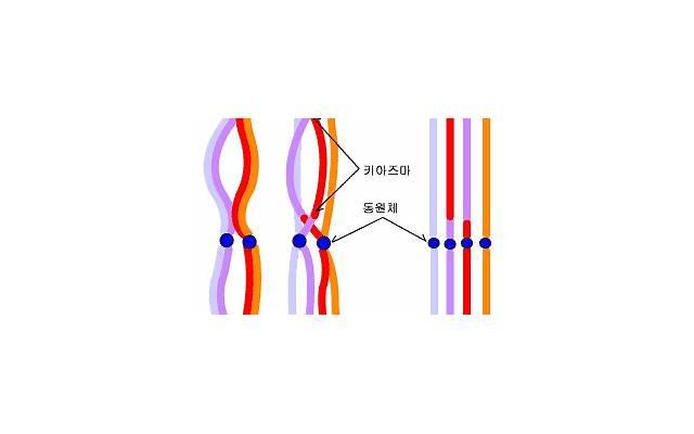 怎么挽回即将离婚的婚姻，如何挽回即将离婚的婚姻？