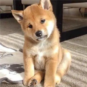 ​又有新进展！泸州直达成都高铁票定了，还能直达这些城市……