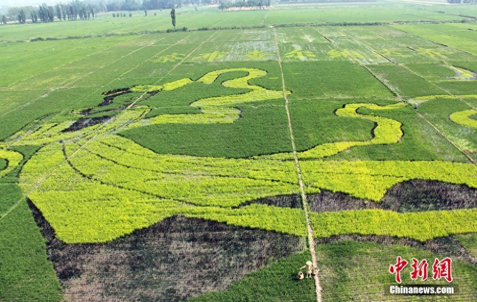 佟丽娅的颜值高到晃眼 很多人却未必知道她是少数民族