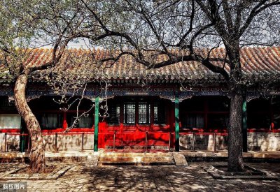 ​叶嘉莹：在风雨飘摇中，造就古诗词传奇人生，95岁捐巨款助教育