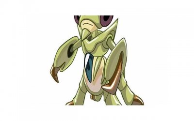 皮婚英文怎么说,皮婚快乐英文怎么说