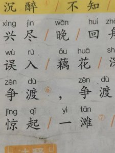 ​“争渡，惊起一滩鸥鹭”，教材读音惹争议，“争”字到底怎么读？