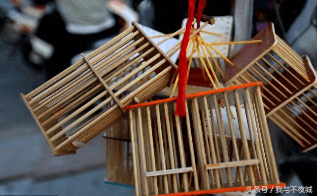 小小蝈蝈惹人爱,精美包装一只上百元