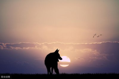 ​《中山狼传》：多少人骂它忘恩负义，却看不见动物的愤怒和悲伤？