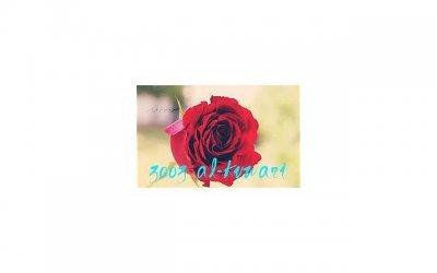 10句吸引人的开场白,让女生瞬间心动!