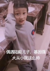 ​5岁男孩自称是陆毅儿子，陆毅鲍蕾已有三胎儿子？