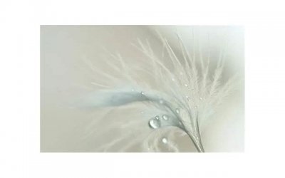 ​男女单独去吃饭算不算约会 女生答应吃饭意味着什么