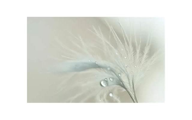 男女单独去吃饭算不算约会 女生答应吃饭意味着什么 男女单独去吃饭算不算约会 女生答应吃饭意味着什么