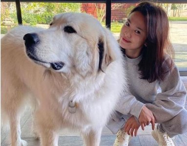 ​宋慧乔近照曝光，一身运动装与爱犬合照笑容甜美，38岁少女感满满