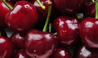 大连十大特产有哪些