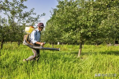 除草剂打多久不怕下雨?听听农民是怎么说的