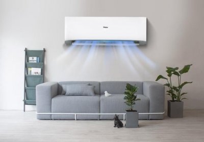 ​杜淳个人资料及年龄（杜淳与妻子王灿怎么回事）