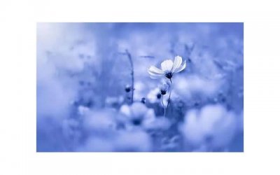 破处是什么意思 女性破处出血怎么办