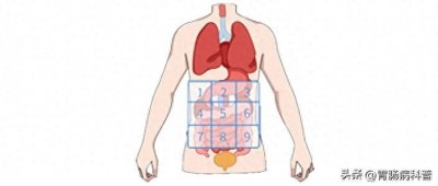肚子痛,到底是哪里痛?一张“腹部地图”,让你看得明明白白