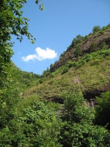 ​山野资料，山野是哪里人
