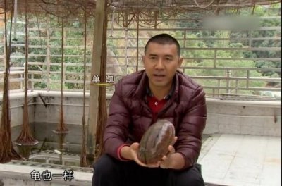 深圳收购洋酒价格表(xo洋酒回收价格表)