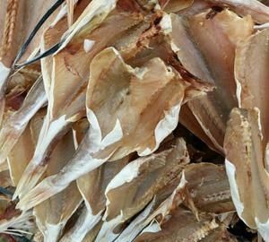 海产品有哪些干货图片