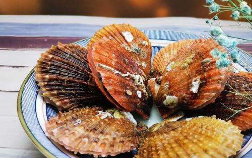 干货海鲜有哪些品种,干的海鲜有哪些图5