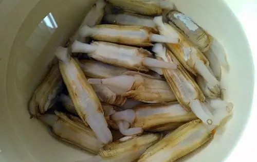 干货海鲜有哪些品种,干的海鲜有哪些图4