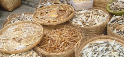 干货海鲜有哪些品种,干的海鲜有哪些