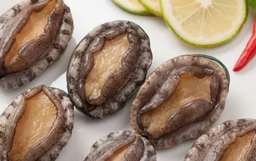 干货海鲜有哪些品种,干的海鲜有哪些图7