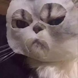 好用的涂抹式补水面膜推荐平价(好用又补水的平价面膜系列)