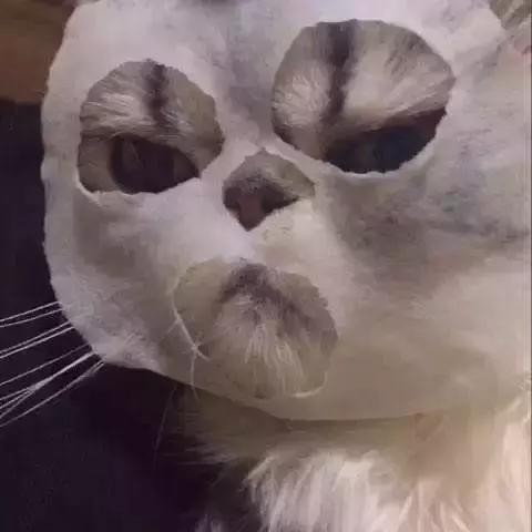 好用的涂抹式补水面膜推荐平价（好用又补水的平价面膜系列）(1)