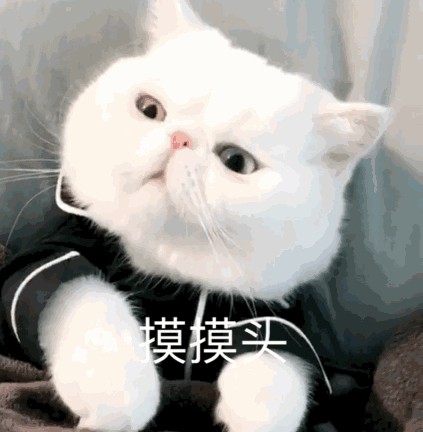 好用的涂抹式补水面膜推荐平价（好用又补水的平价面膜系列）(27)