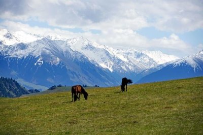 中国的世界文化遗产有哪些(中国有哪些世界文化遗产,可以值得骄傲)