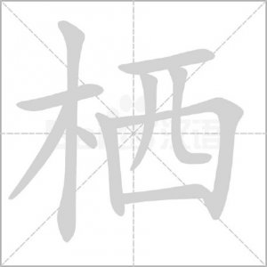 “栖”怎么读?什么意思?栖息读音怎么读?什么时候该读xī?