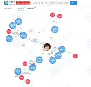 王珞丹工作室澄清退圈,目前共关联7家公司