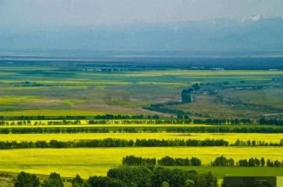 ​今年去新疆打工的真多，有的还全家搬迁，新疆真的好挣钱吗？