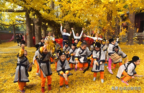 天下银杏第一树