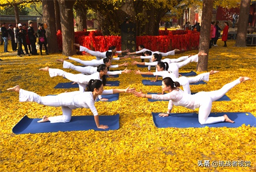 天下银杏第一树