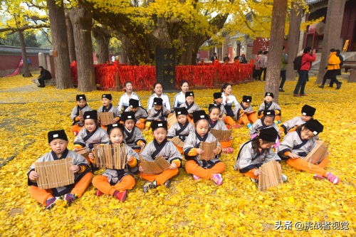 天下银杏第一树