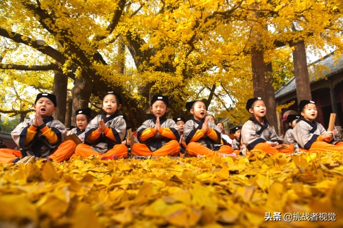 天下银杏第一树