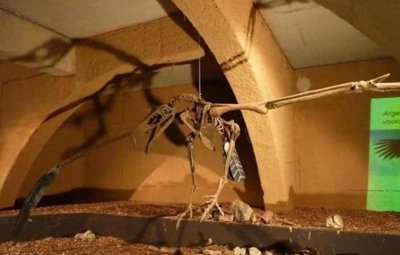 ​壮丽适应：600万年前的阿根廷巨鹰，以捕食狮子为食？