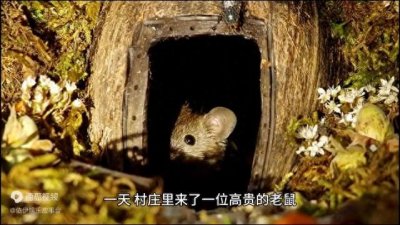 【原创】《鼠嫁女儿》