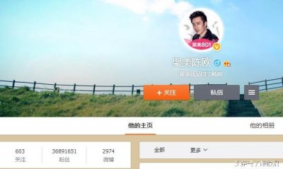 新浪微博粉丝最多的人原来是他,排行榜前八名没有李彦宏马化腾?