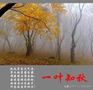 含有“秋风”的成语