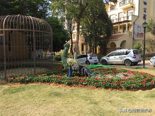 福建省 漳州市 长泰县 十里蓝山